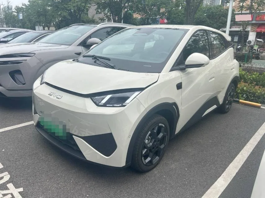BYD 2025 Seagull Smart Driving Edition 405km/h Flying Edition Automatic Transmission