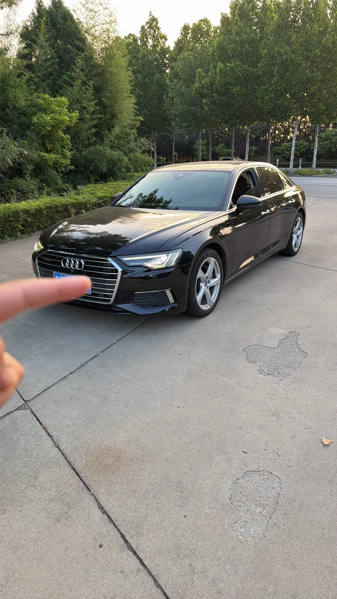 Audi A6L 2019 45 TFSI quattro Premium Elegance