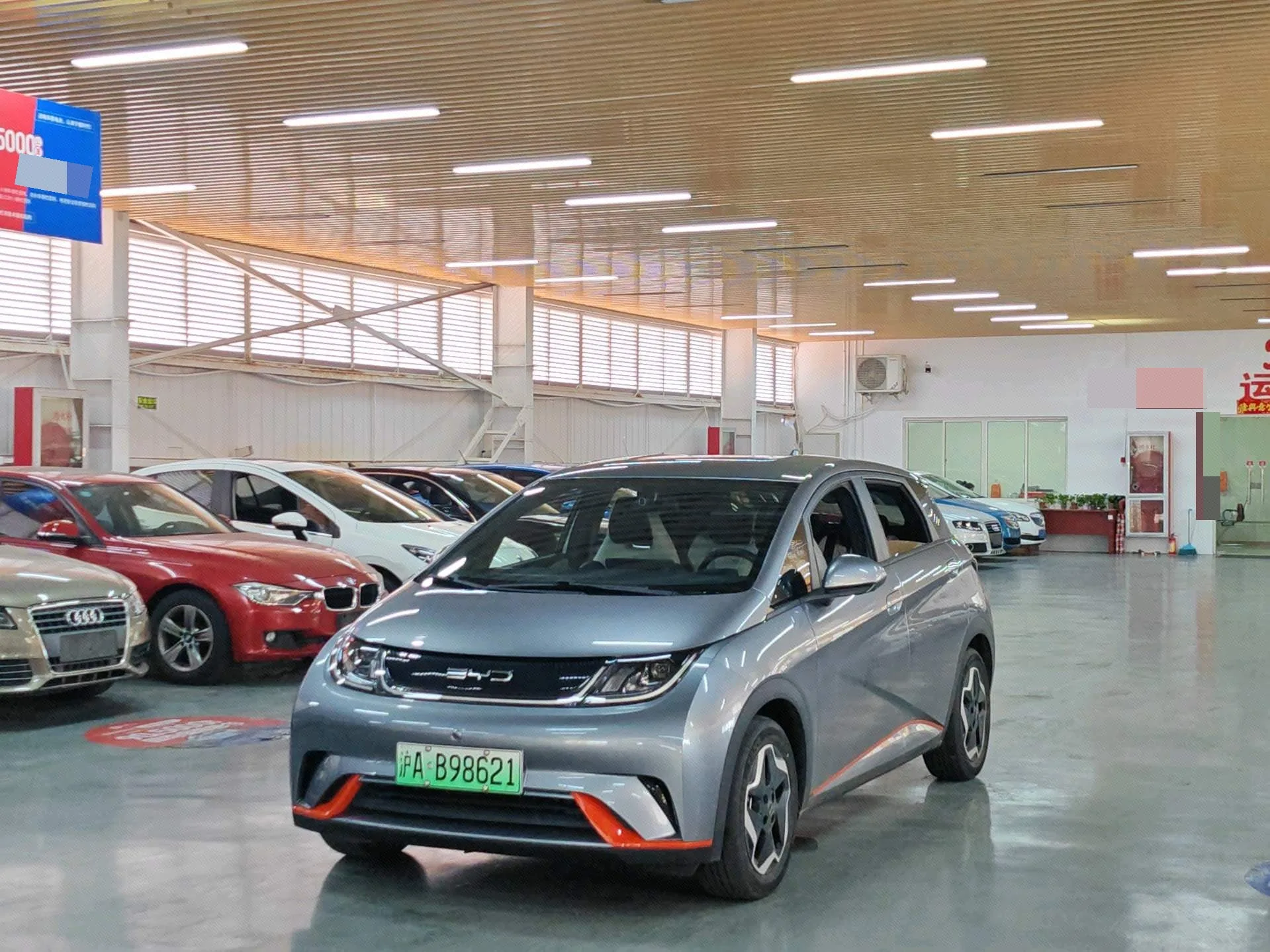 Dolphin 2021 405km Freedom Edition