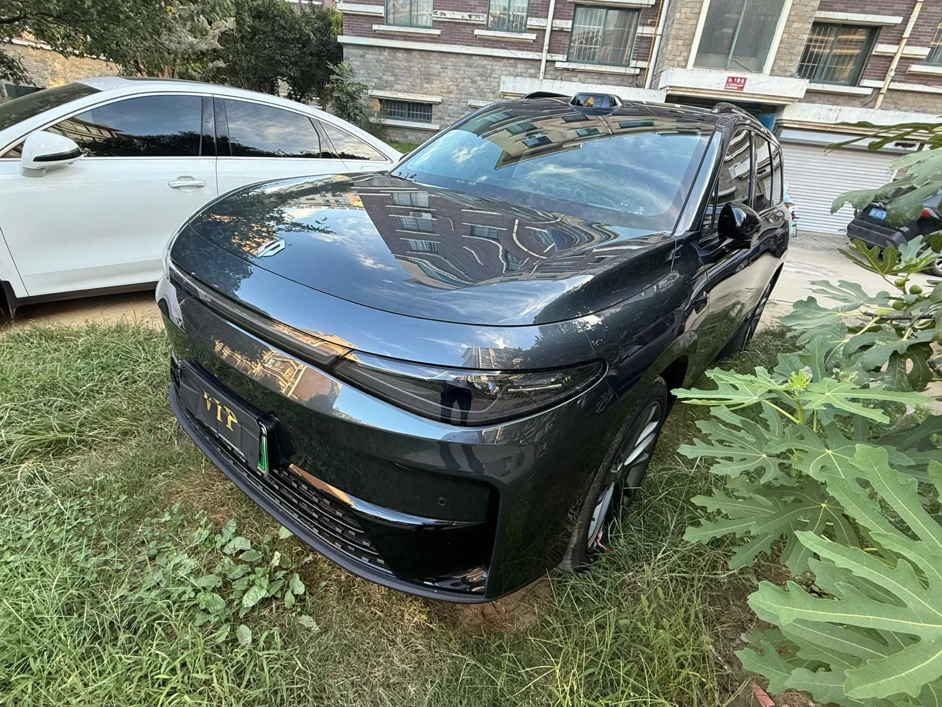 Leapmotor C16 2024 Model Year, All-Electric, 520 Smart Driving Edition