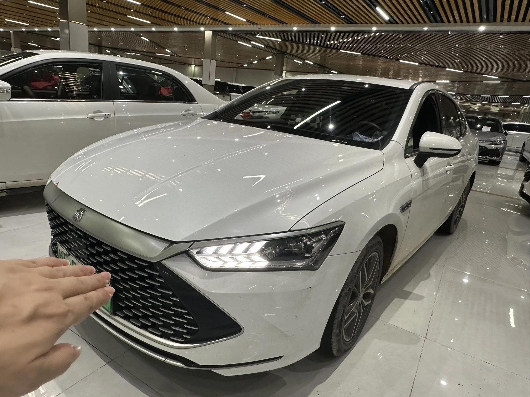 BYD 2023 Qin PLUS DM-i 1.5 CVT Champion Edition Leading Model 120KM Automatic