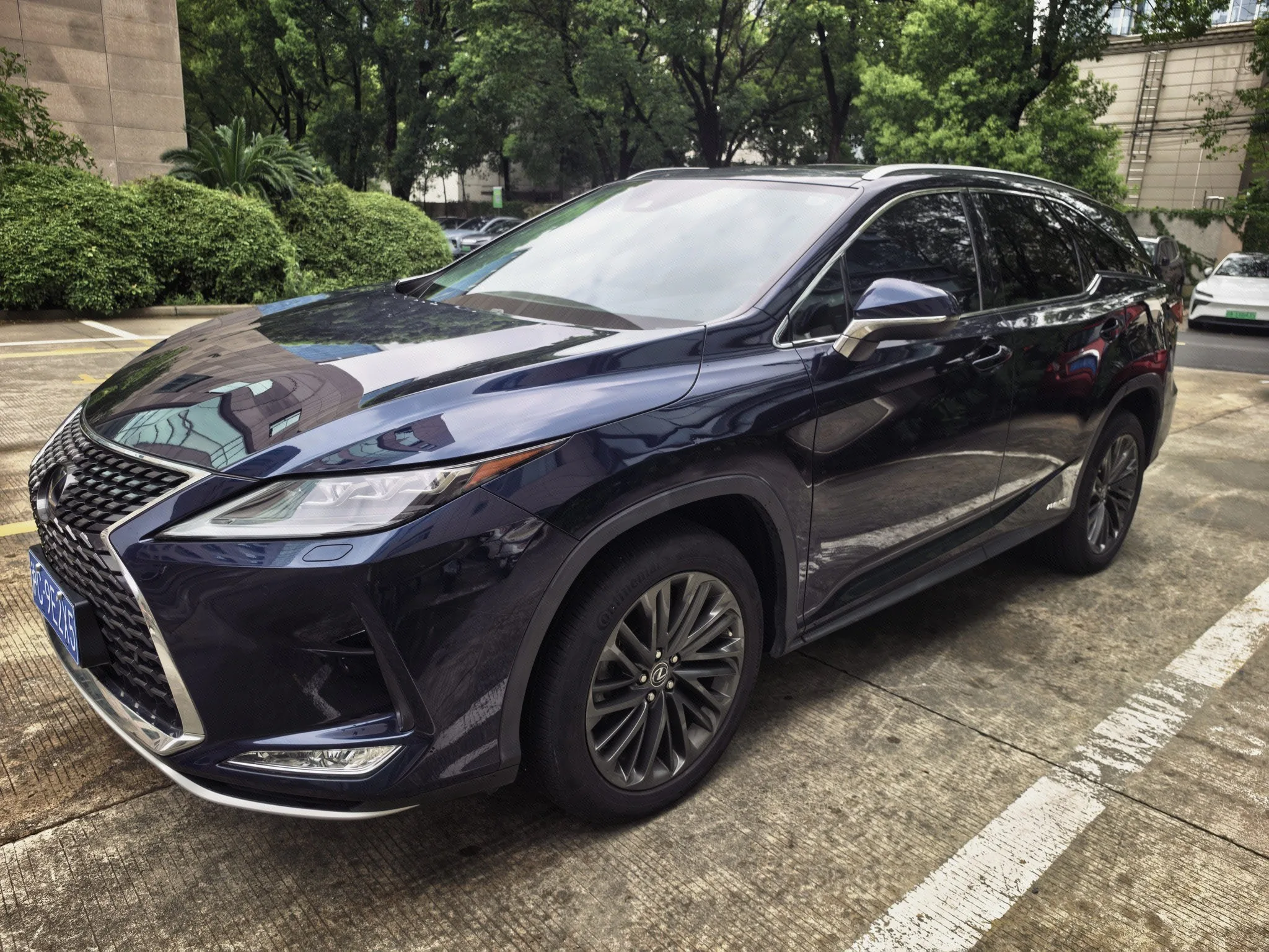 2020 Lexus RX 450hL AWD Premium Edition 6-Seater, National V Emission Standard
