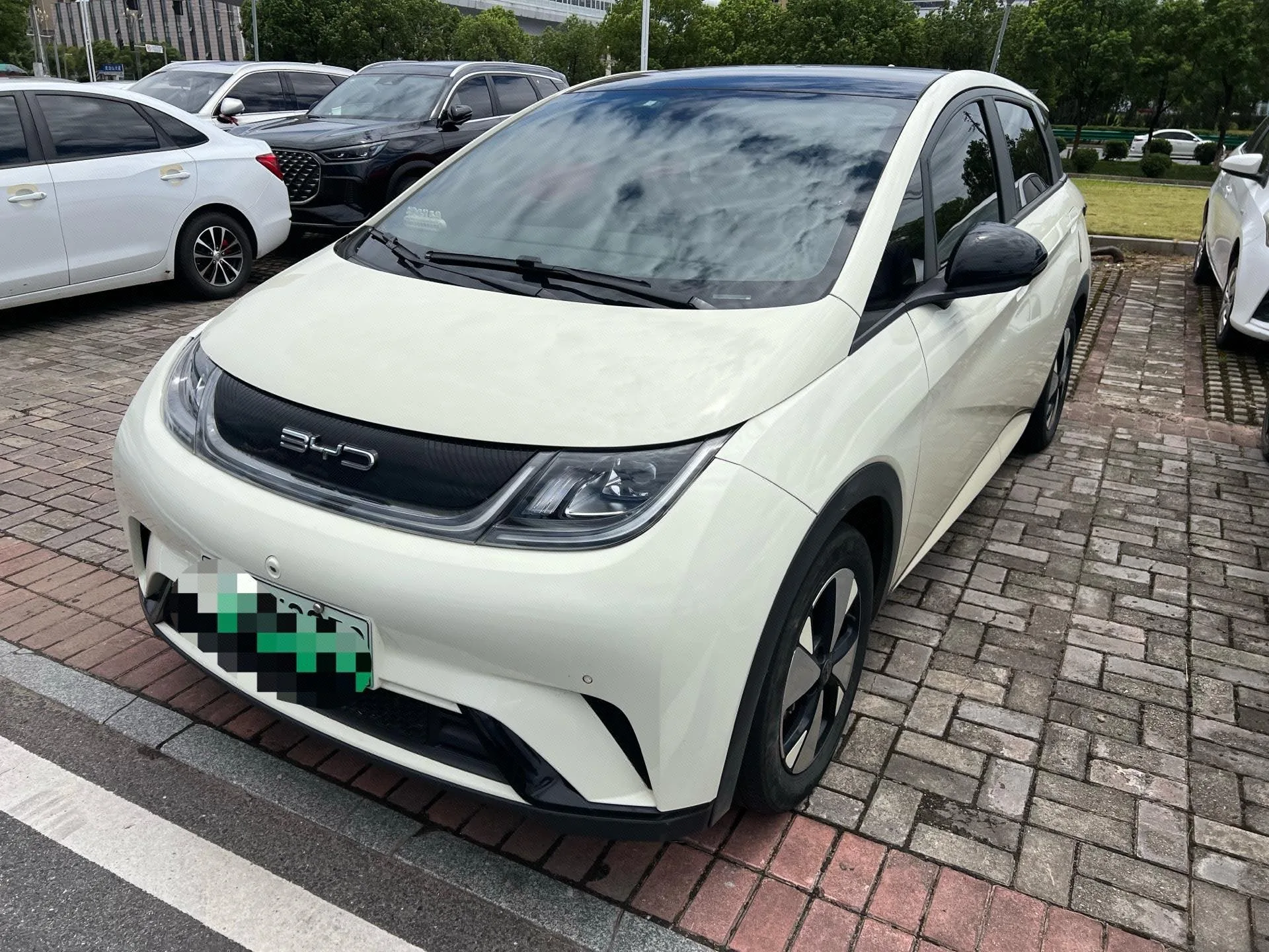 BYD 2023 Dolphin 420km Fashion Edition Automatic
