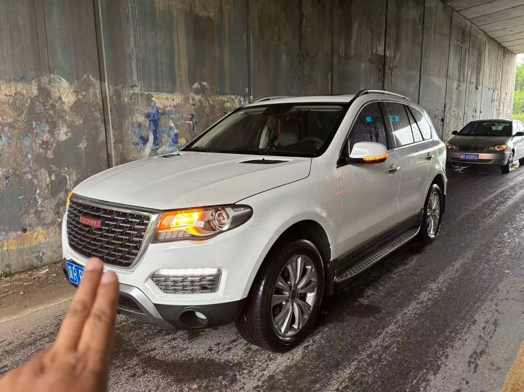 2017 Haval H8 2.0T Gasoline AWD "Yuexiang" Edition