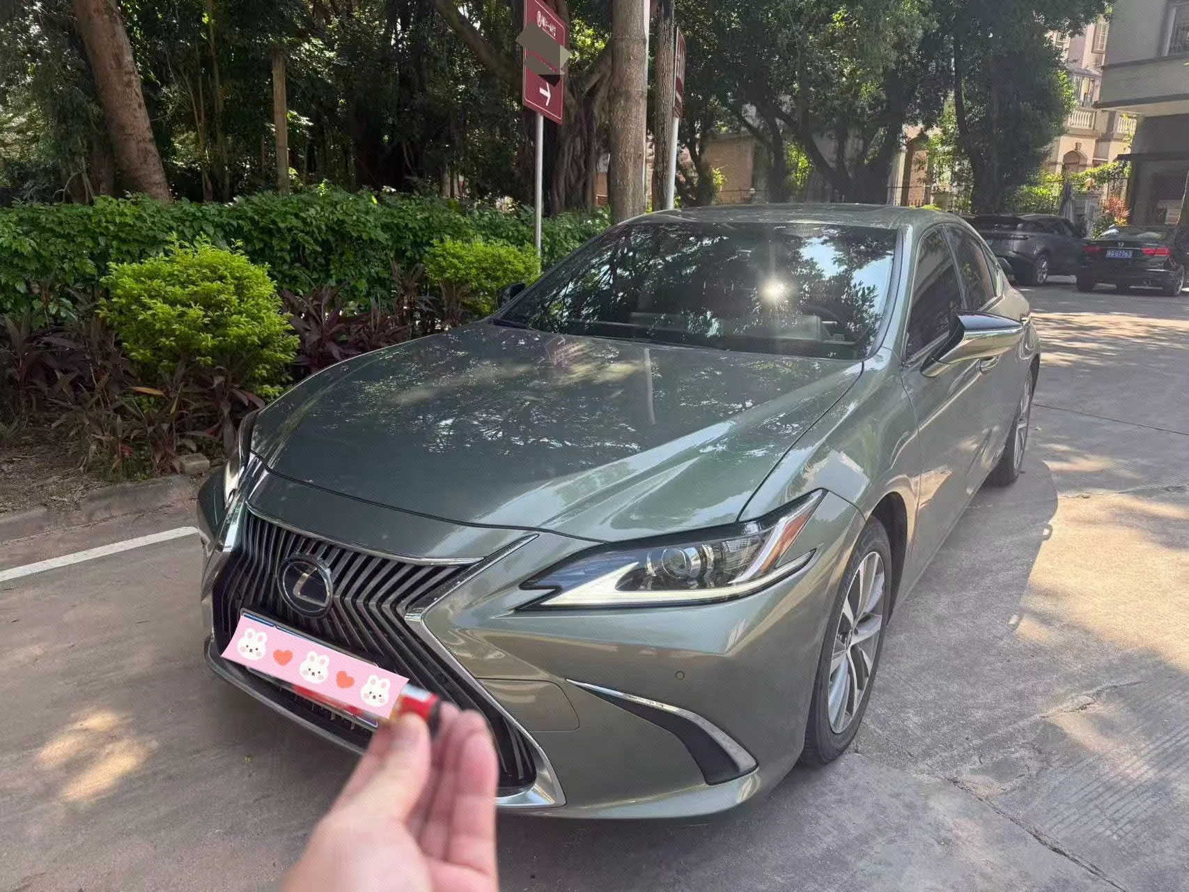 Lexus ES 2020 300h Premium Edition