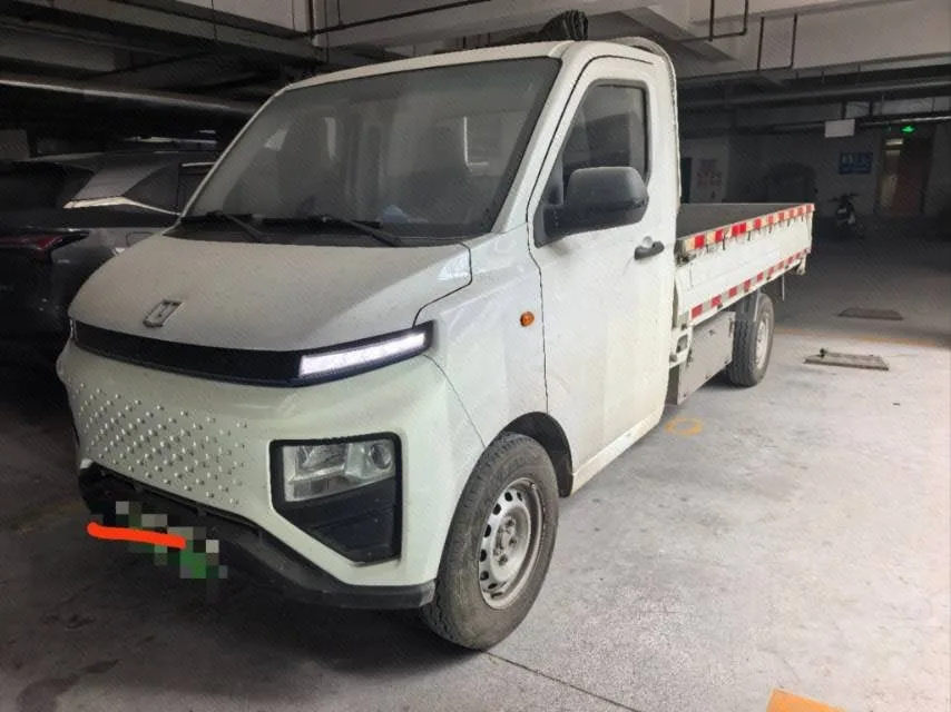 Remote Star Enjoy F1E 2023 Van with Remote Smart Chip 46.08kWh