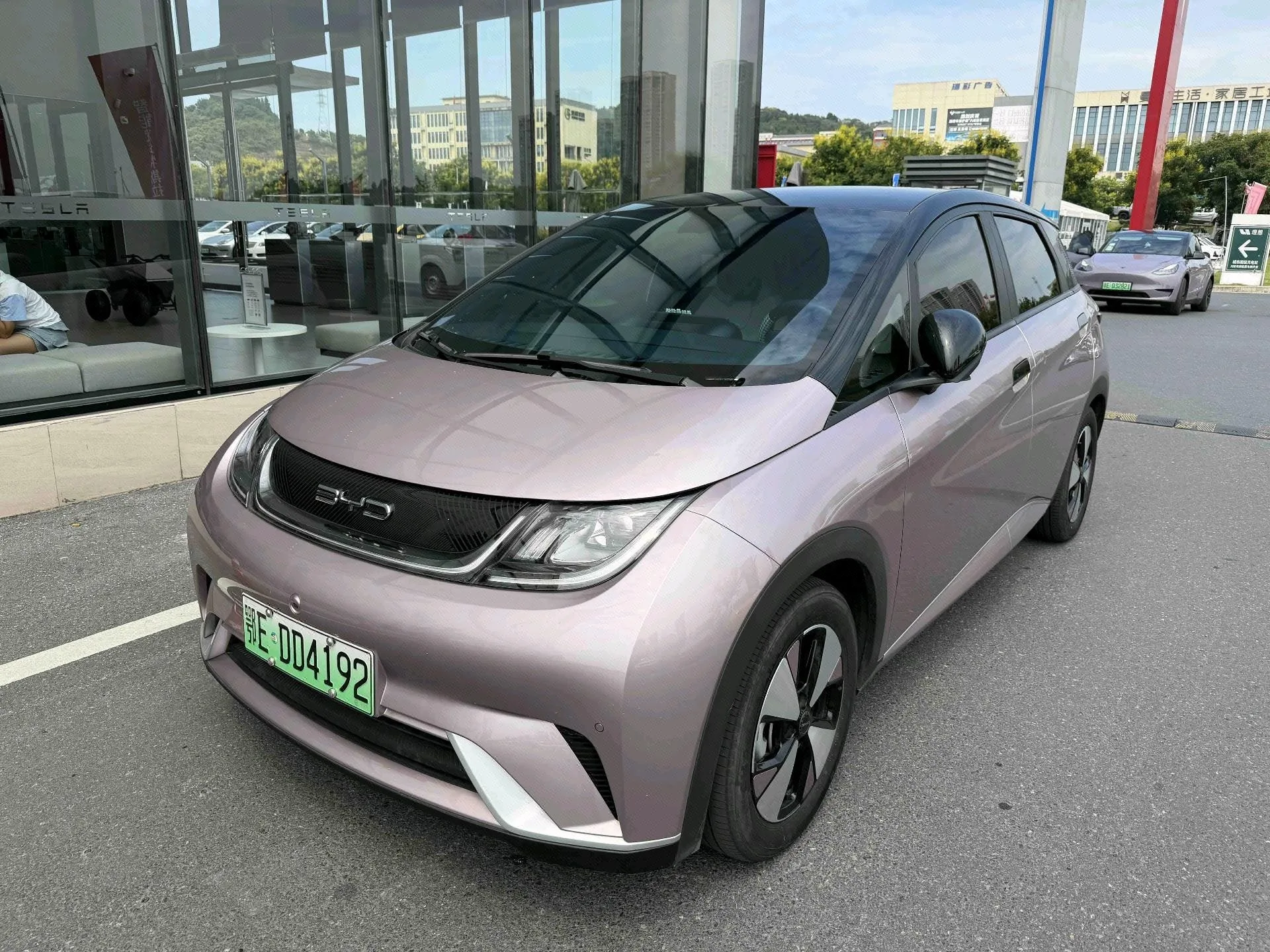 BYD 2023 Dolphin 420km Fashion Edition Automatic