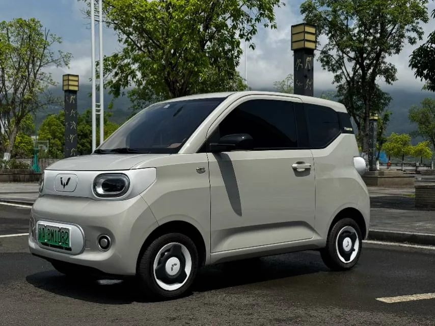 Wuling 2024 Hongguang MINI EV 215km Youth Edition Automatic