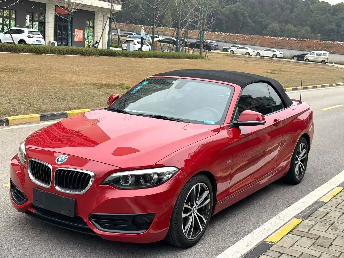 2018 BMW 2 Series 220i Convertible Coupe Sport Design Package