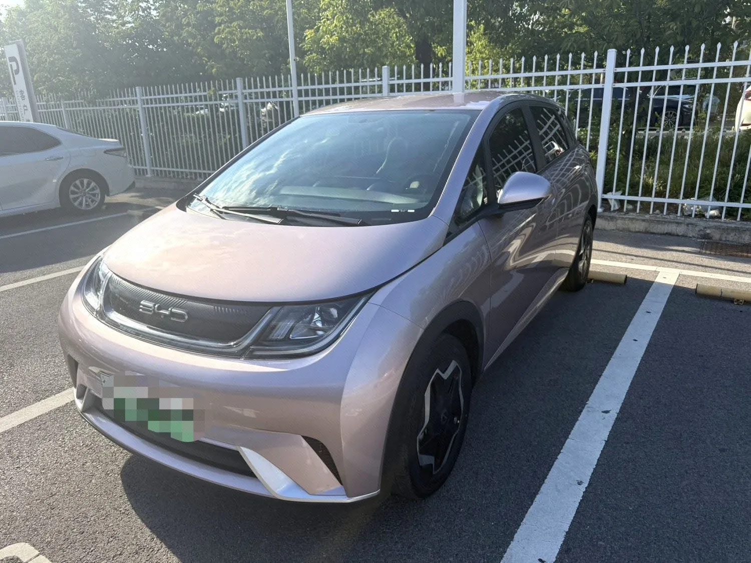 Dolphin 2021 405km Freedom Edition