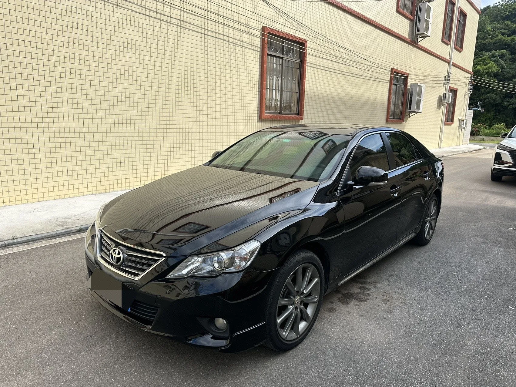 Reiz 2010 Model Year 2.5S Elegance Edition