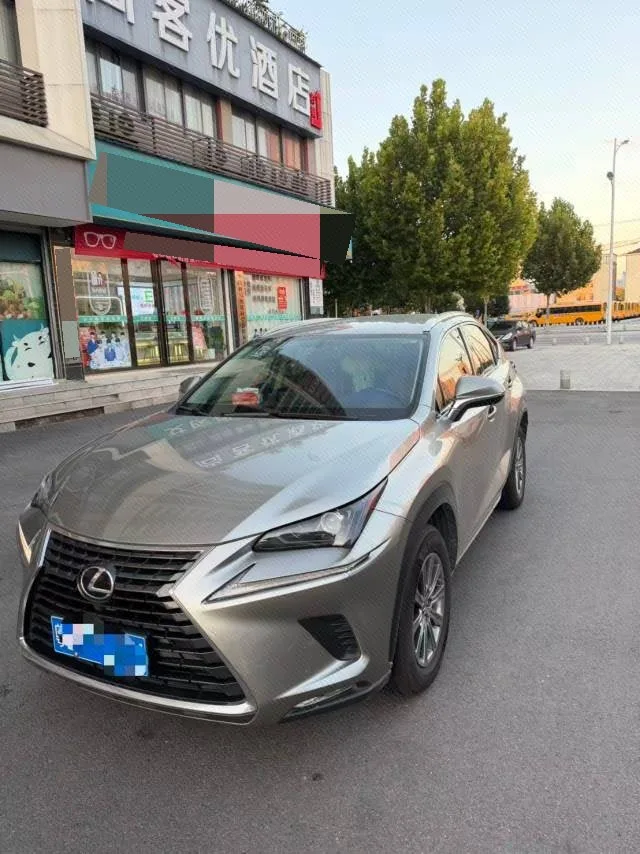 2020 Lexus NX 200 FWD "Fengxing" Edition, China V Emission Standard