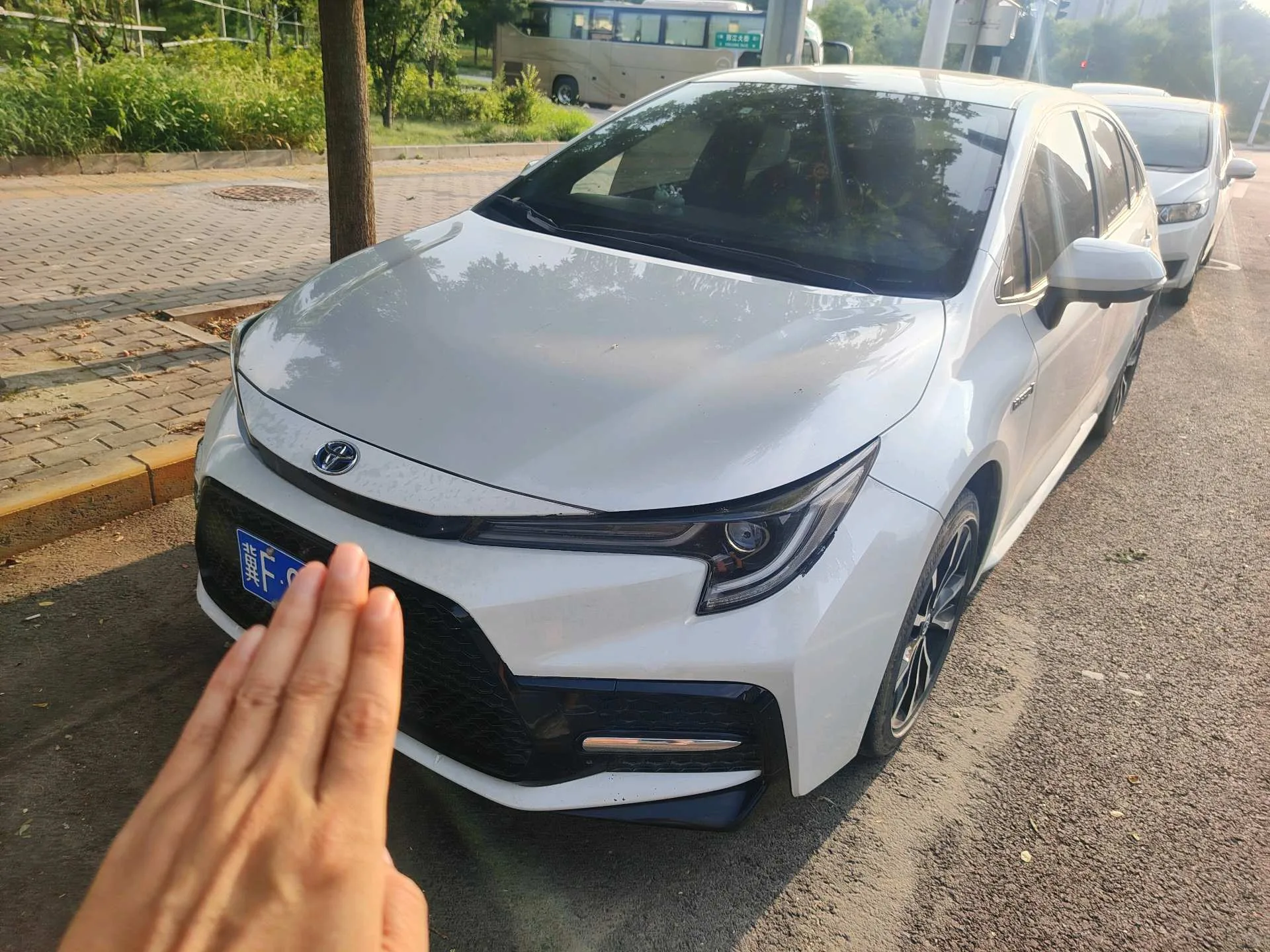 Levin 2022 Hybrid 1.8H E-CVT Sport Edition