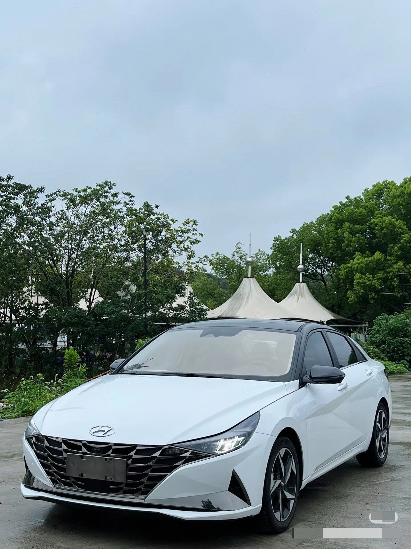 Hyundai Elantra 2023 1.5L CVT LUX Premium Edition