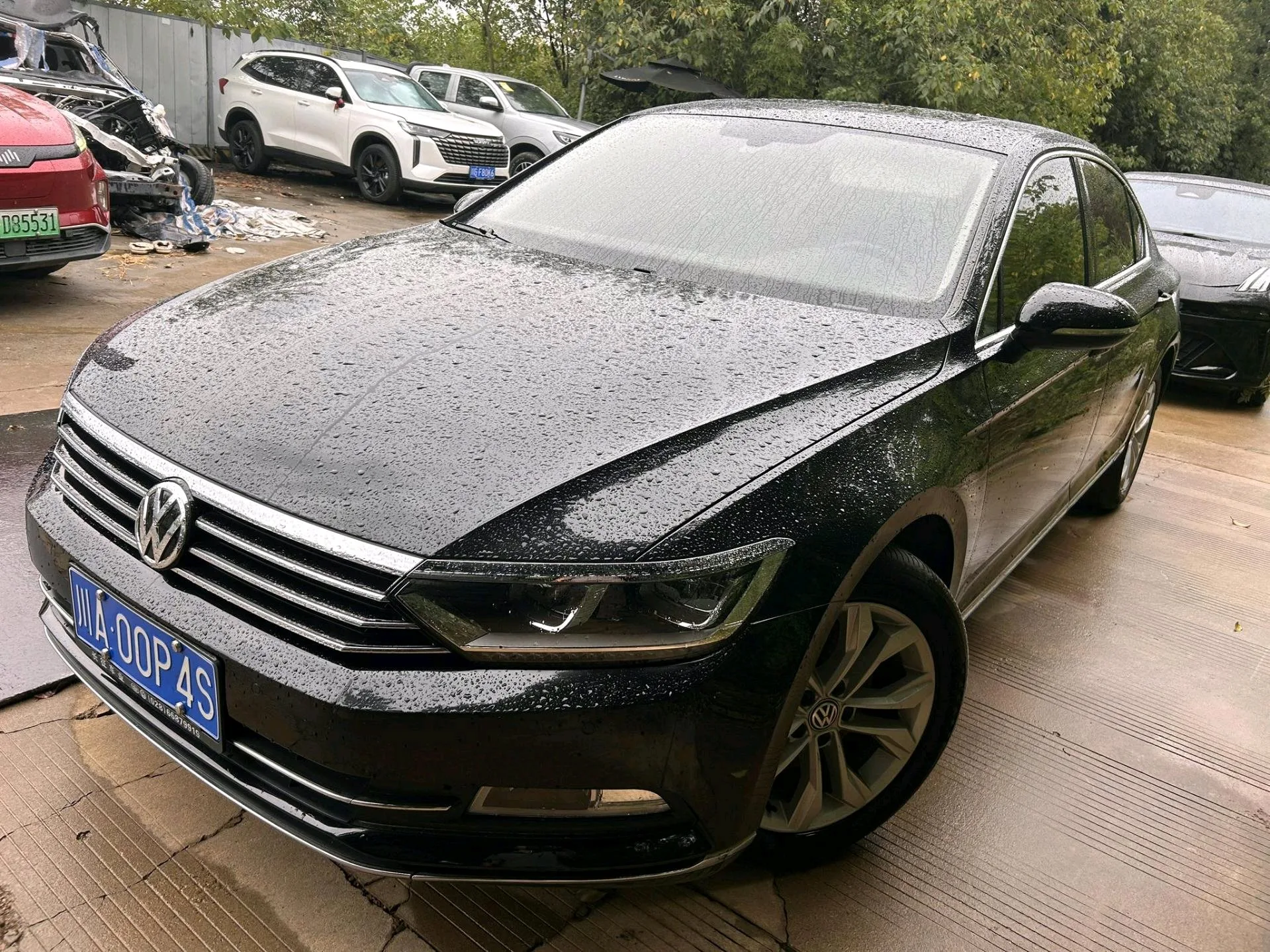 2019 Volkswagen Magotan 330TSI DSG Luxury Edition (National V Emission Standard)