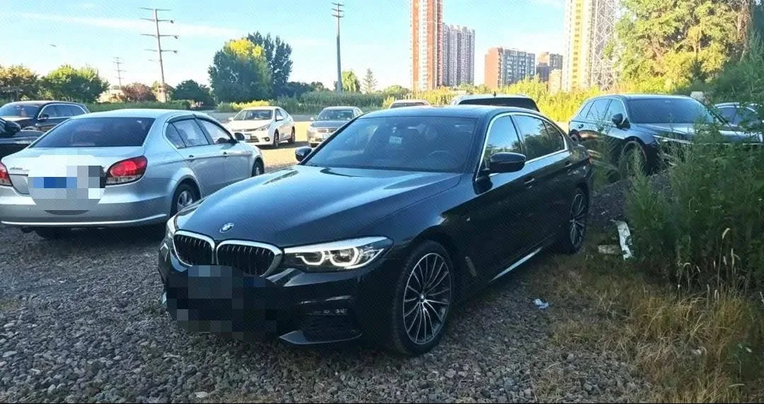2019 BMW 5 Series 525Li Luxury Package