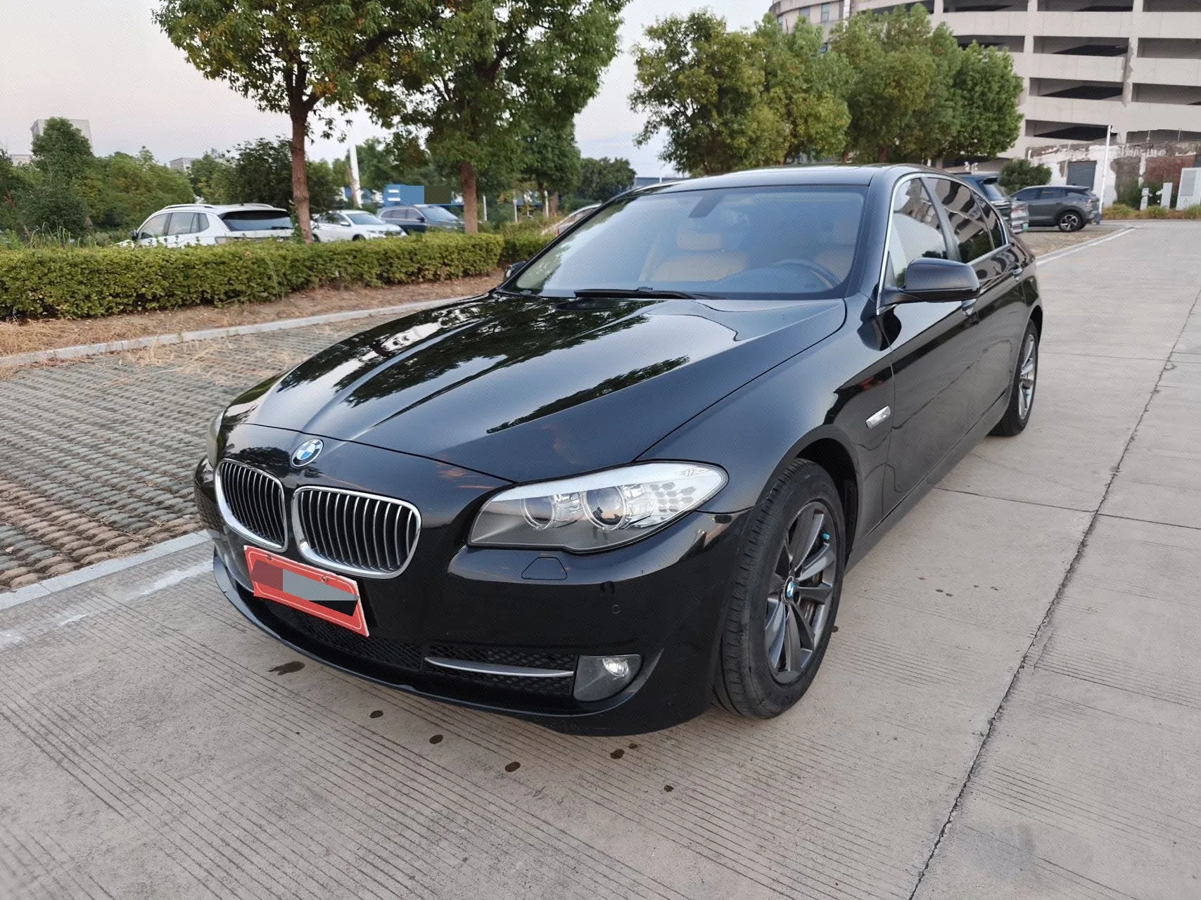 2013 BMW 5 Series 525Li Leading Edition