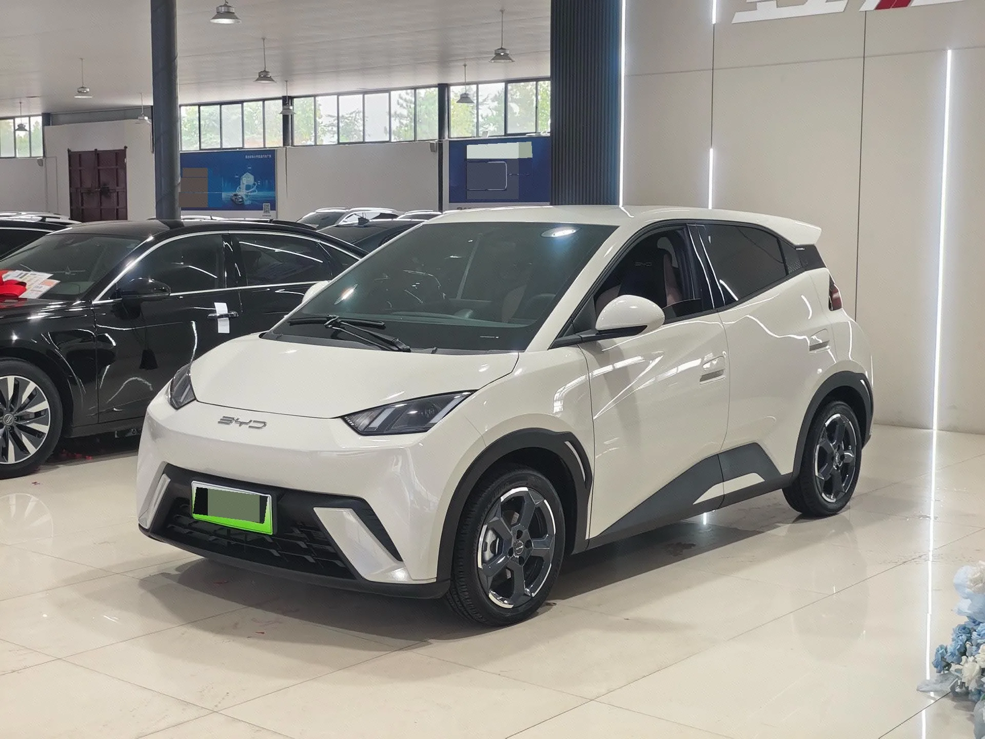 BYD 2024 Seagull Glory Edition 305km/h Freedom Edition Automatic Transmission