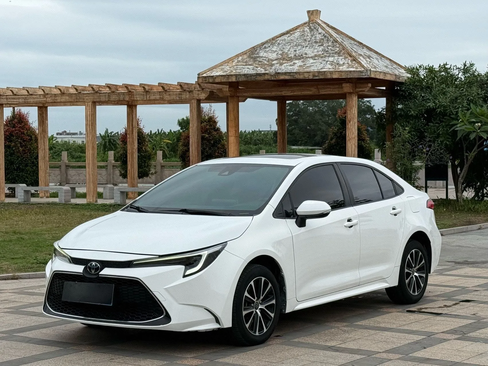 Levin 2022 185T CVT Luxury Edition