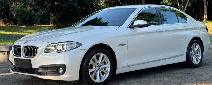 2014 BMW 5 Series 520Li Elegant Edition