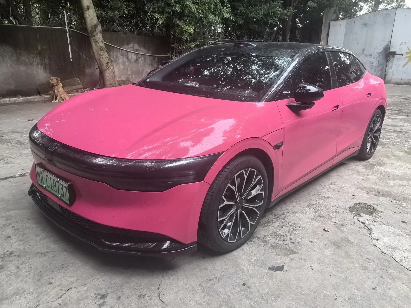 Extreme Krypton 007 2024 Rear-Wheel Drive Intelligent Driving Edition 100kWh