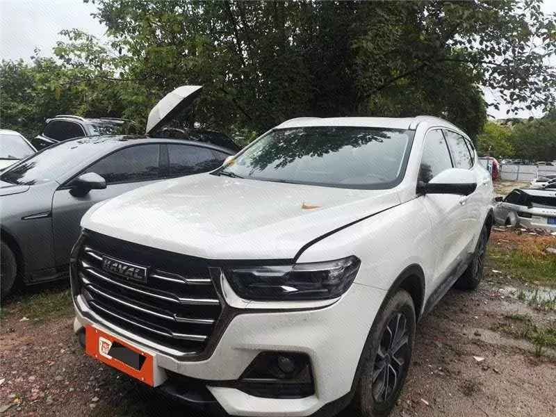 Haval 2023 H6 1.5T National Trend Edition Urban Edition Automatic