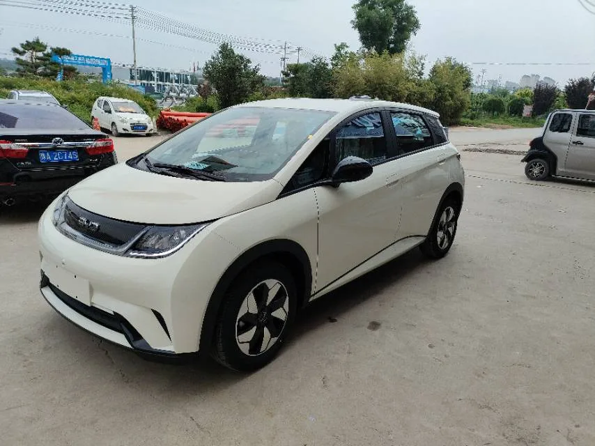 BYD 2025 Dolphin 420km Freedom Edition Automatic