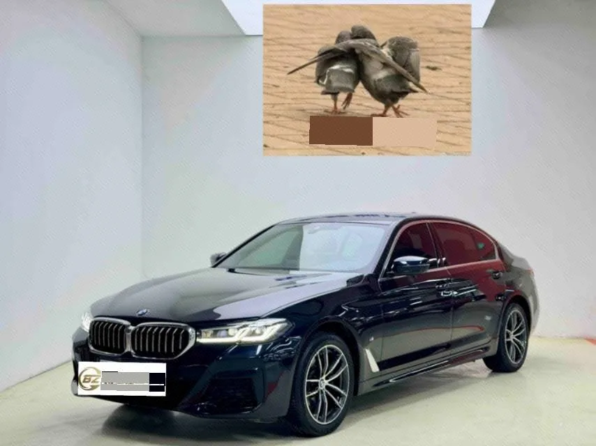 2022 BMW 5 Series Facelift 525Li M Sport Package