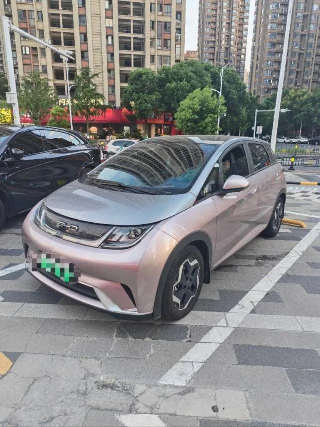 Dolphin 2021 405km Fashion Edition