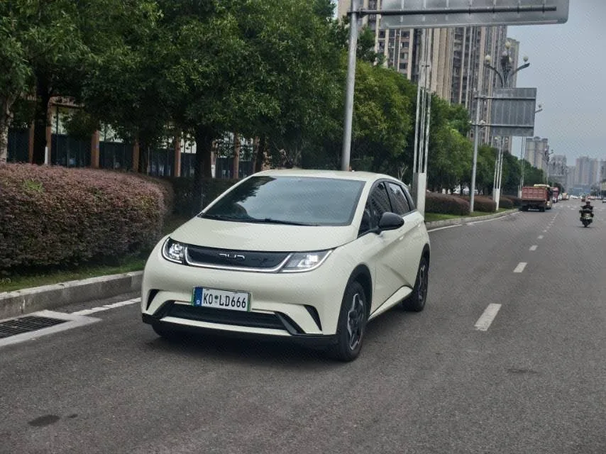 BYD 2024 Dolphin Glory Edition 420km Freedom Edition Automatic Transmission
