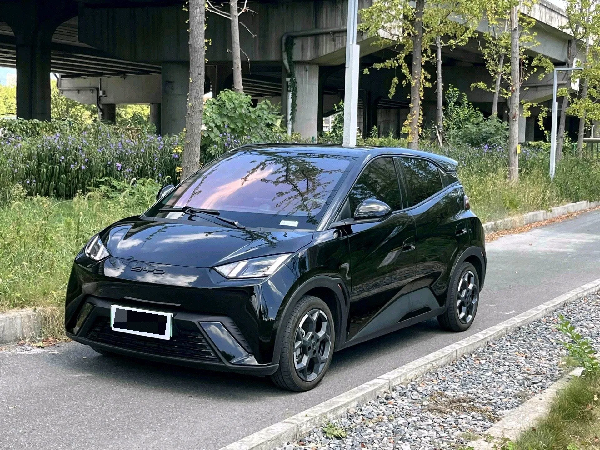 BYD 2023 Seagull Freedom Edition Automatic