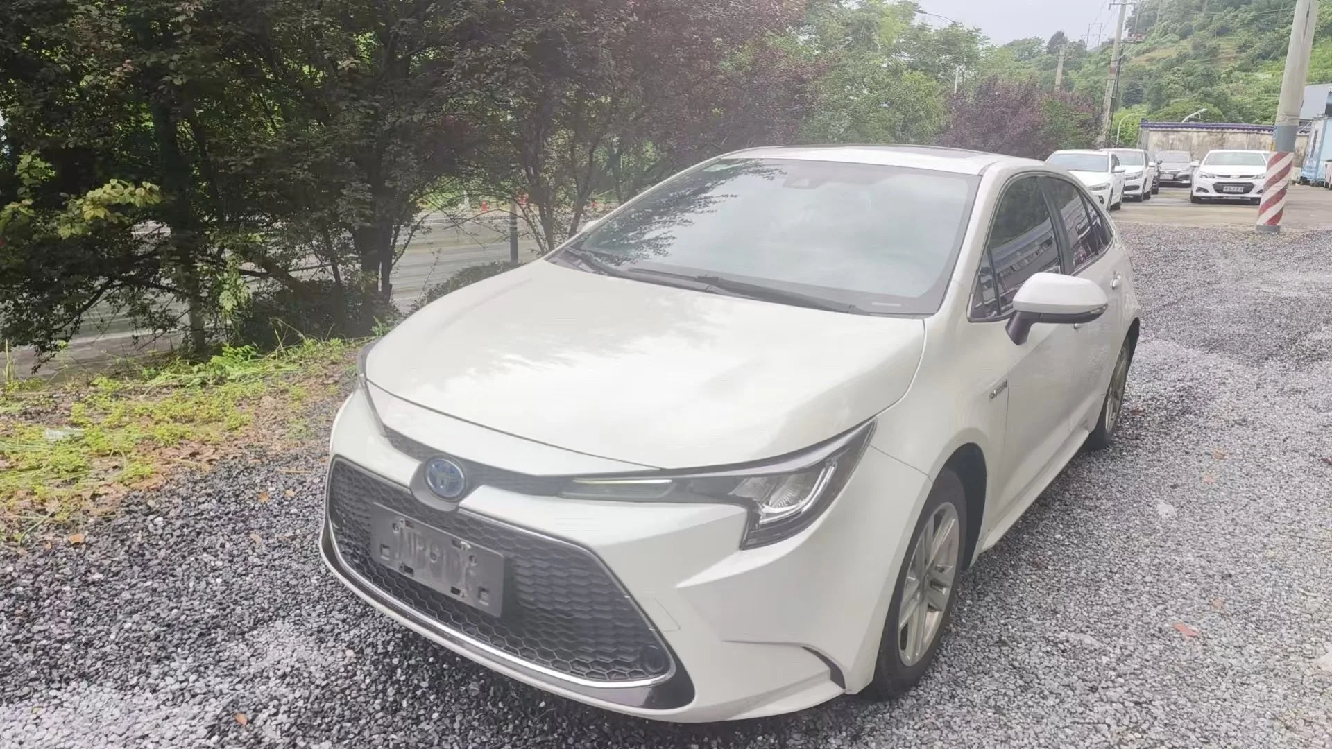 Levin 2021 Hybrid 1.8H E-CVT Luxury Edition