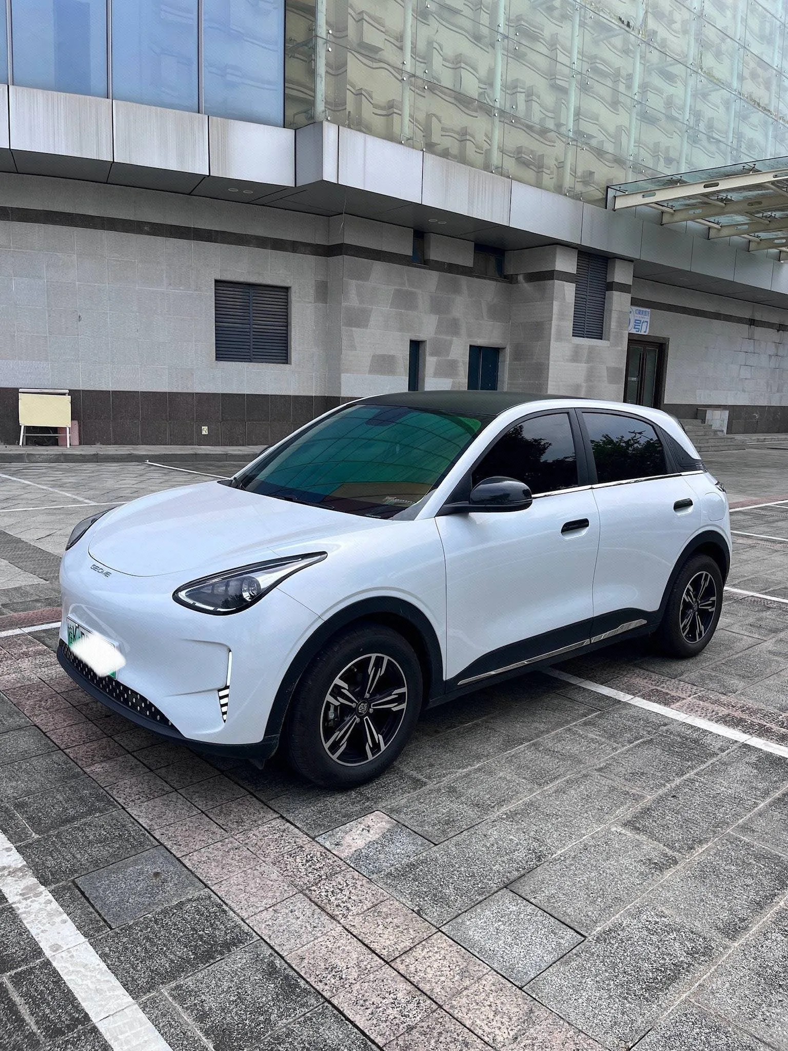 Star Wish 2026 Model 310km Youth Edition