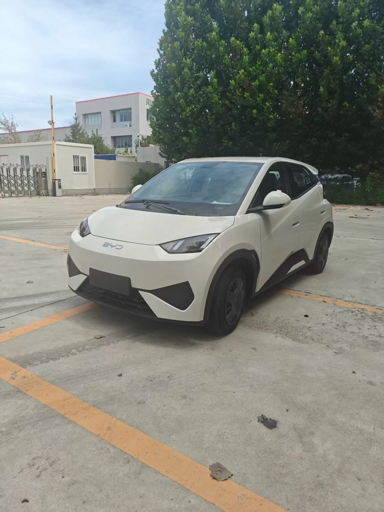 BYD 2025 Seagull Smart Driving Edition 305km/h Vitality Edition Automatic