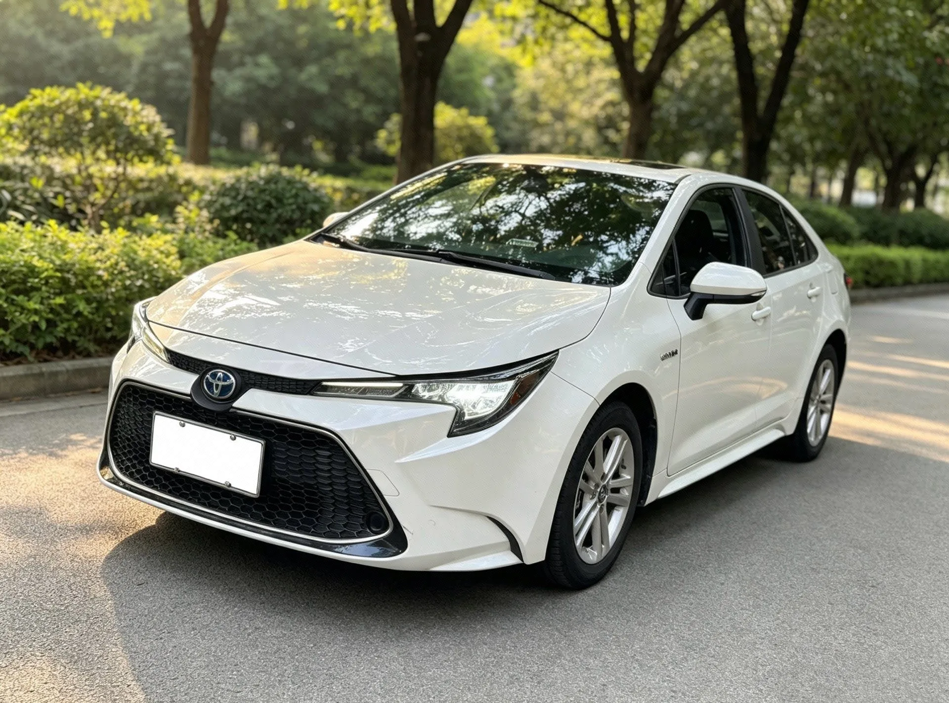 Levin 2019 Hybrid 1.8H E-CVT Luxury Edition (National V Emission Standard)