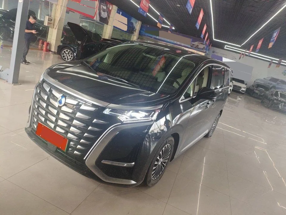 Denza D9 2024 DM-i 1050 Premium Edition