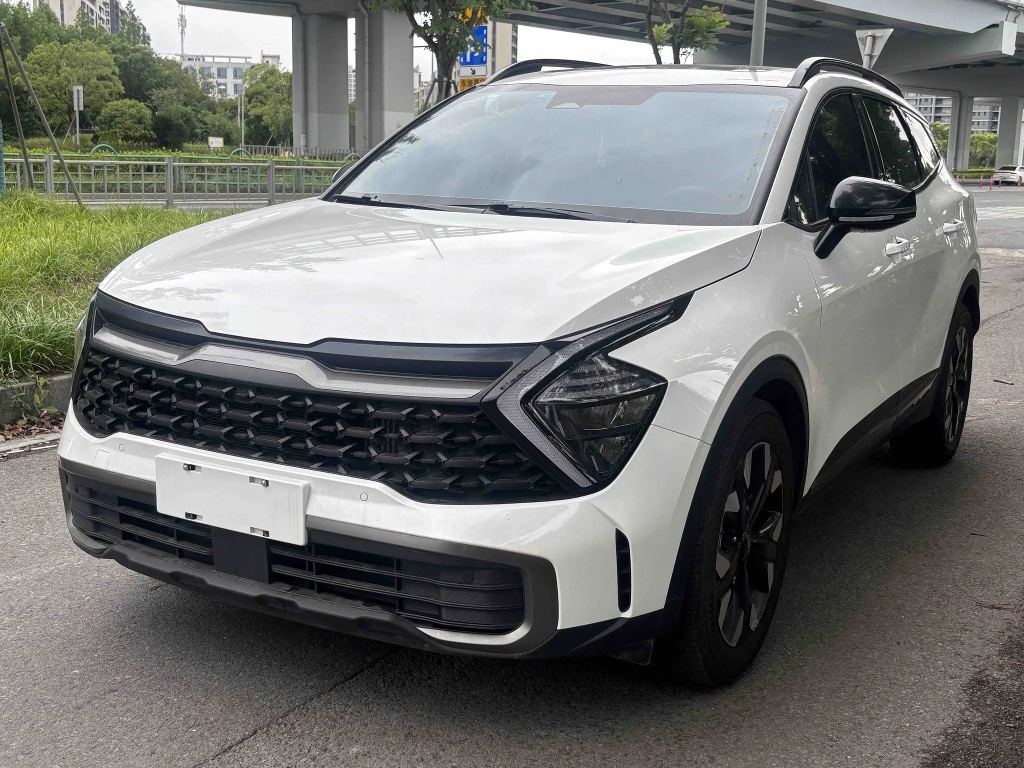 Lion Platinum Expansion 2023 2.0T 2WD Premium Edition