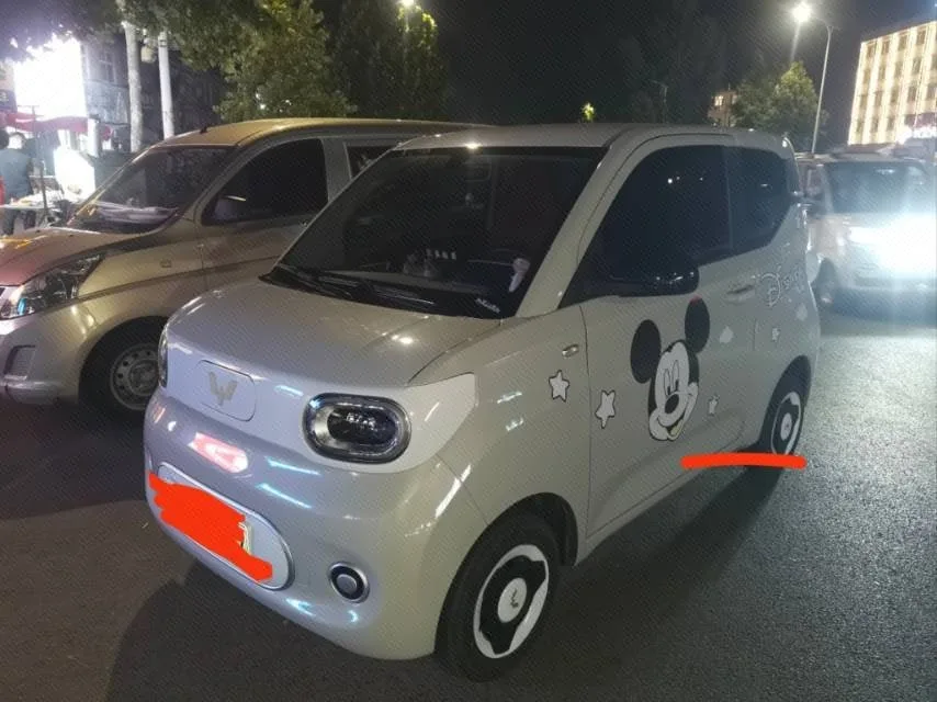 Wuling Sunshine New Energy 2025 Model 201km Standard Edition