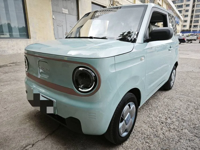 Panda 2023 Panda Mini 200km Endurance Bear