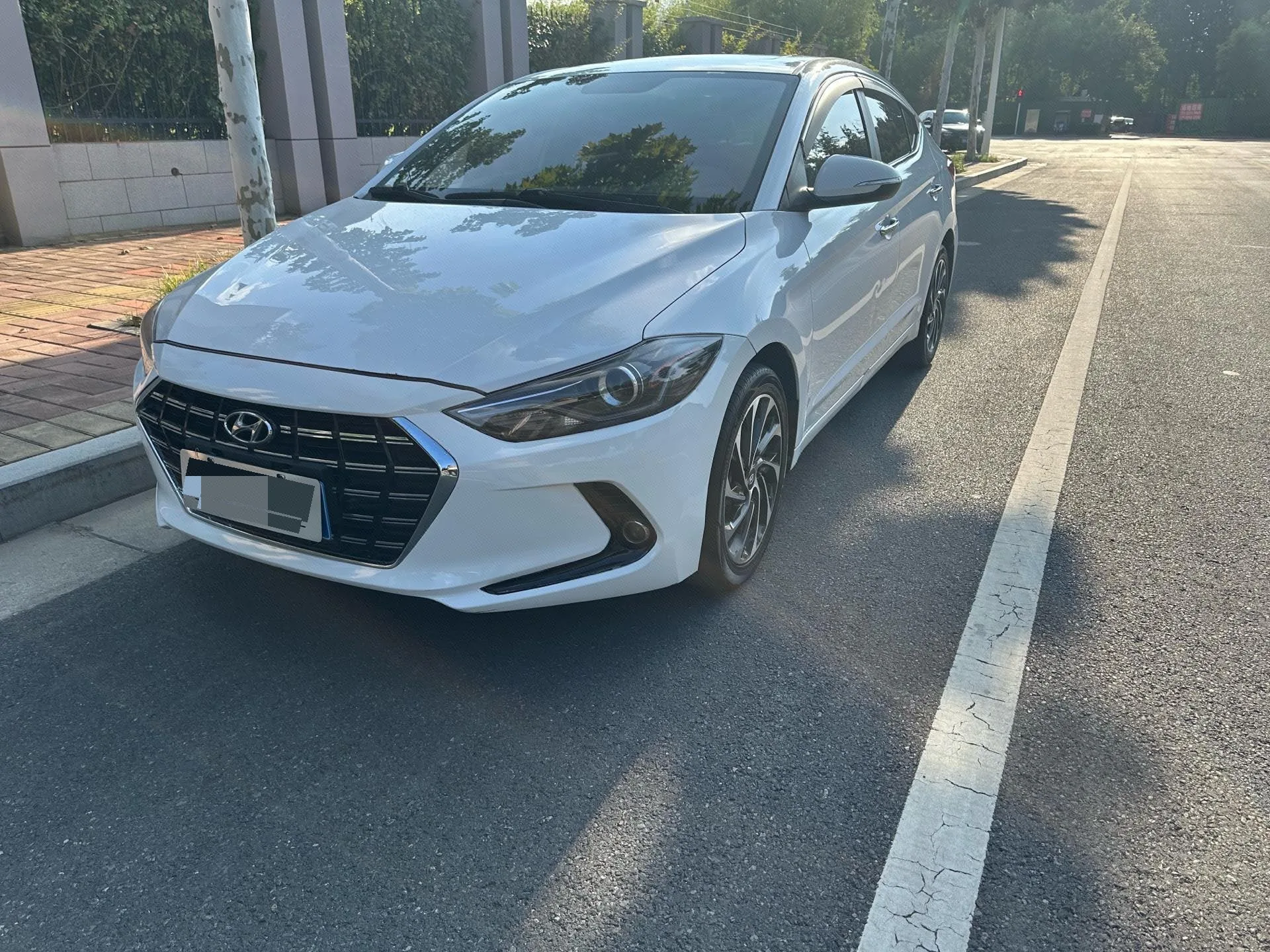Hyundai Elantra 2019 1.4T Dual-Clutch Dynamic & Vitality Edition