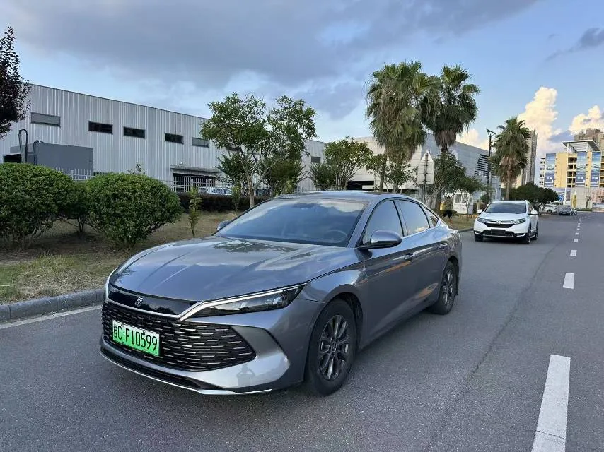 Qin L 2024 DM-i 80KM Leading Edition