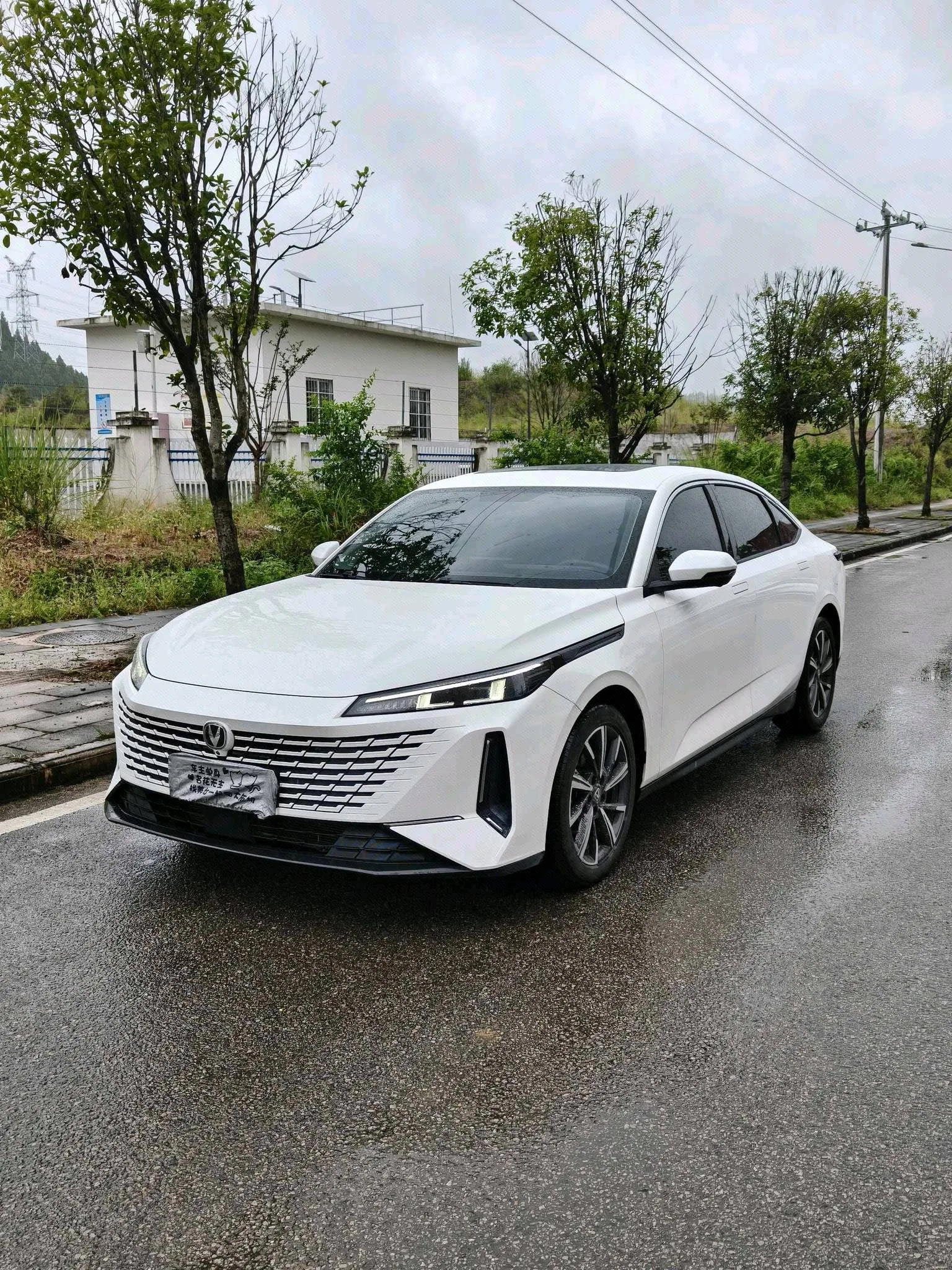 Yida 2023 Blue Whale NE 1.5T GDI DCT Pioneer Edition