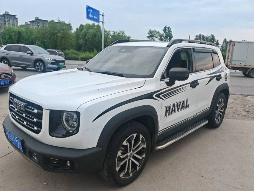 Haval Big Dog 2021 1.5T DCT 2WD Border Collie - Lucky Edition