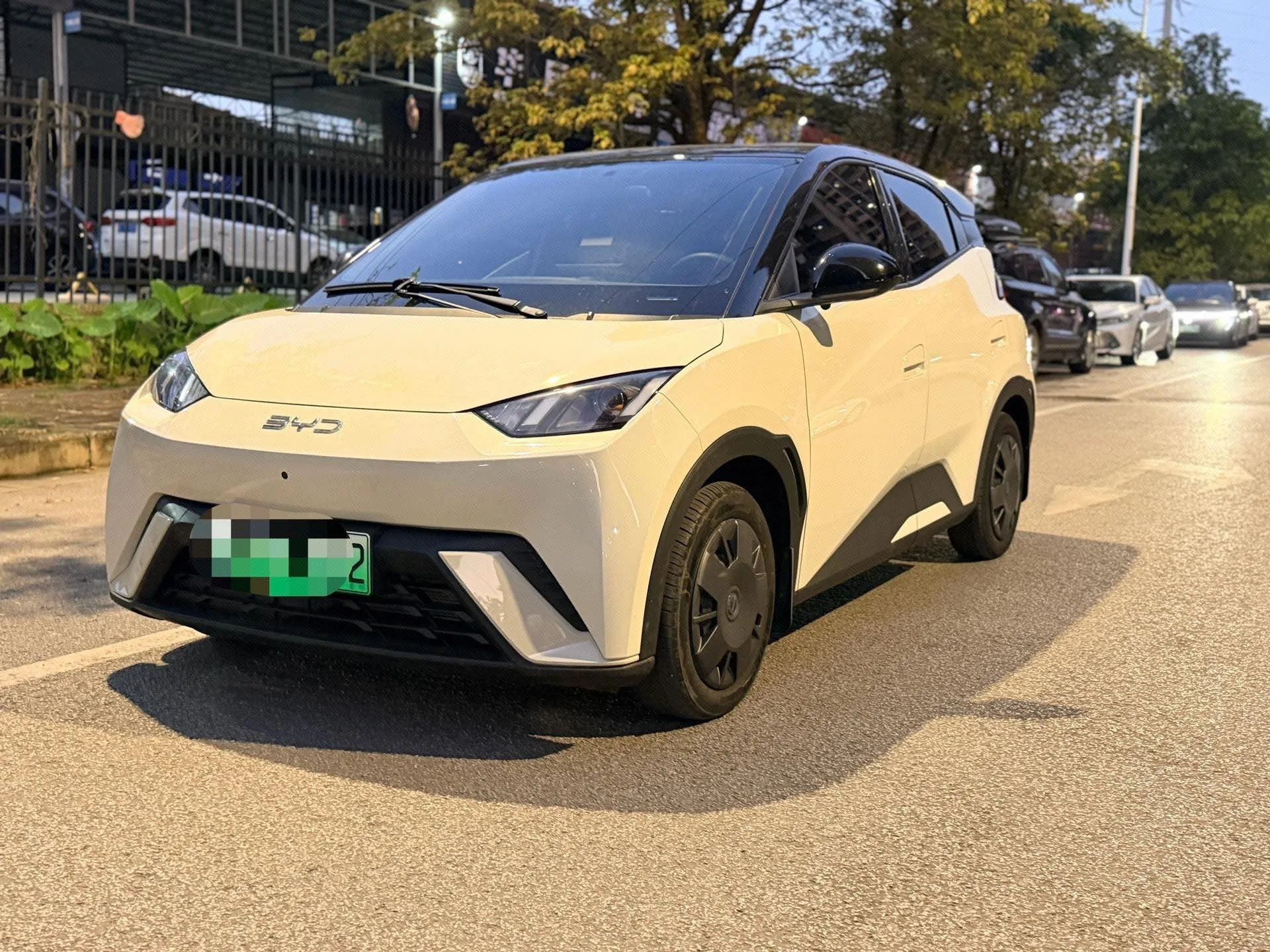 BYD 2024 Seagull Glory Edition 305km/h Vitality Edition Automatic