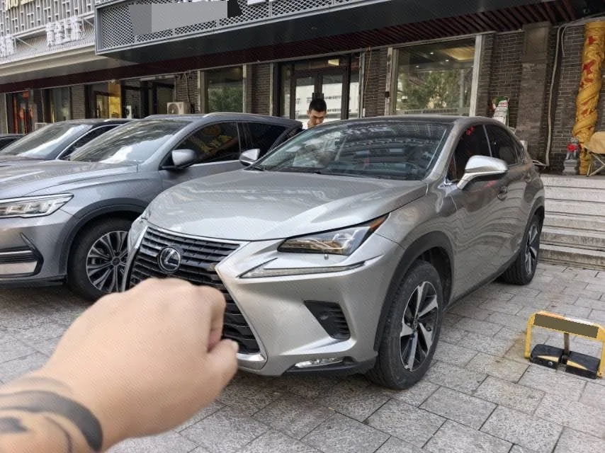 2020 Lexus NX 300h AWD "Fengzhi" Edition, China V Emission Standard