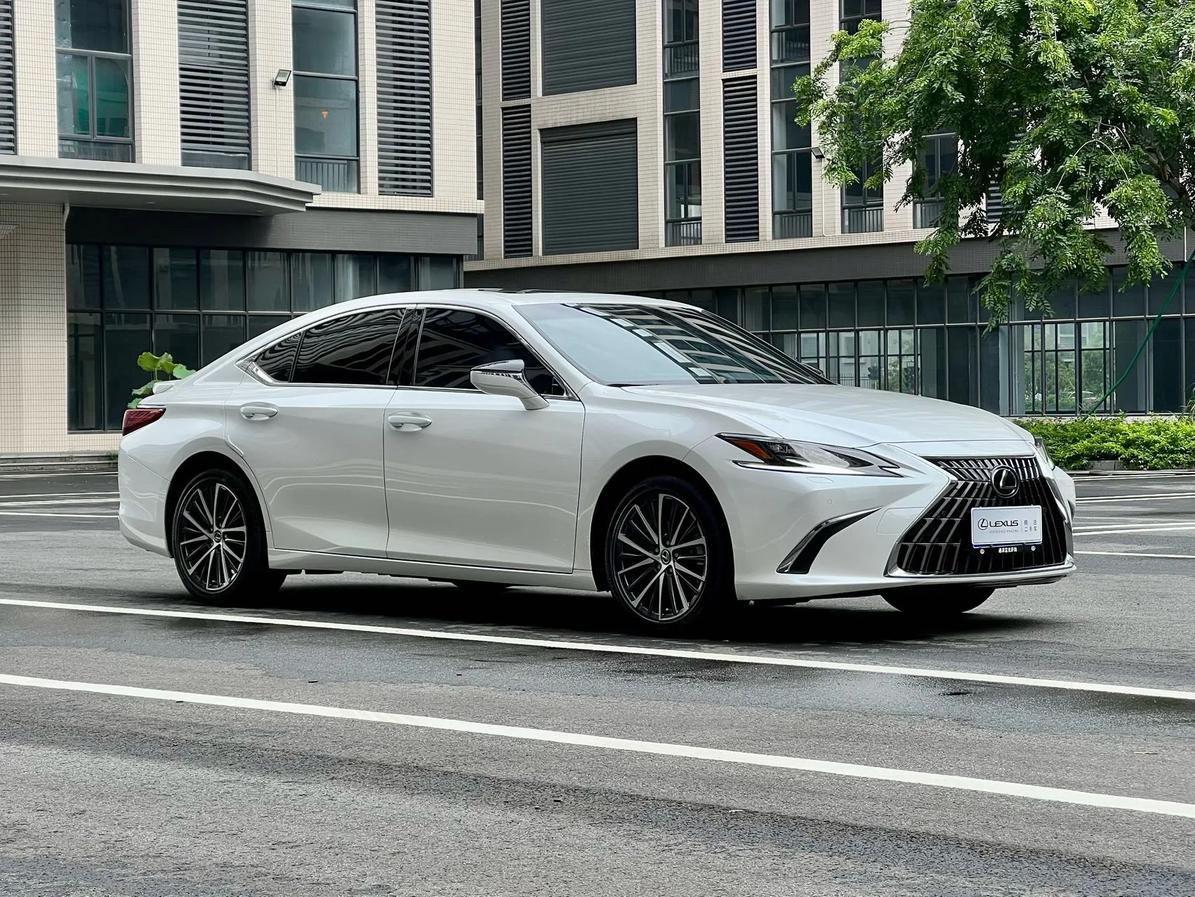 Lexus ES 2022 300h Premium Edition