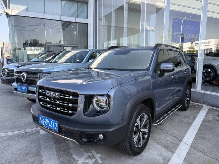 Haval Big Dog 2022 1.5T DCT 2WD Labrador Edition