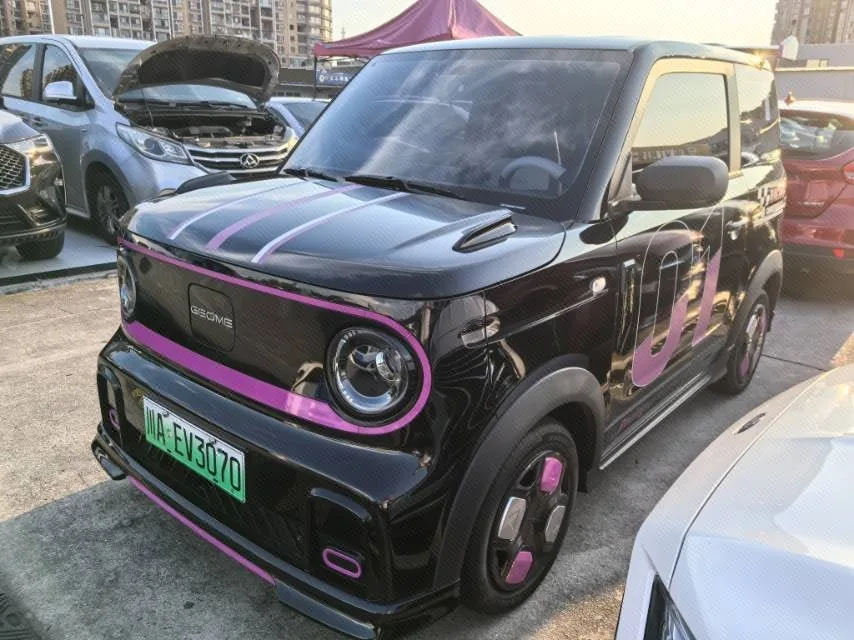 Geely 2025 Panda MINI 210km Panda Go-Kart Automatic