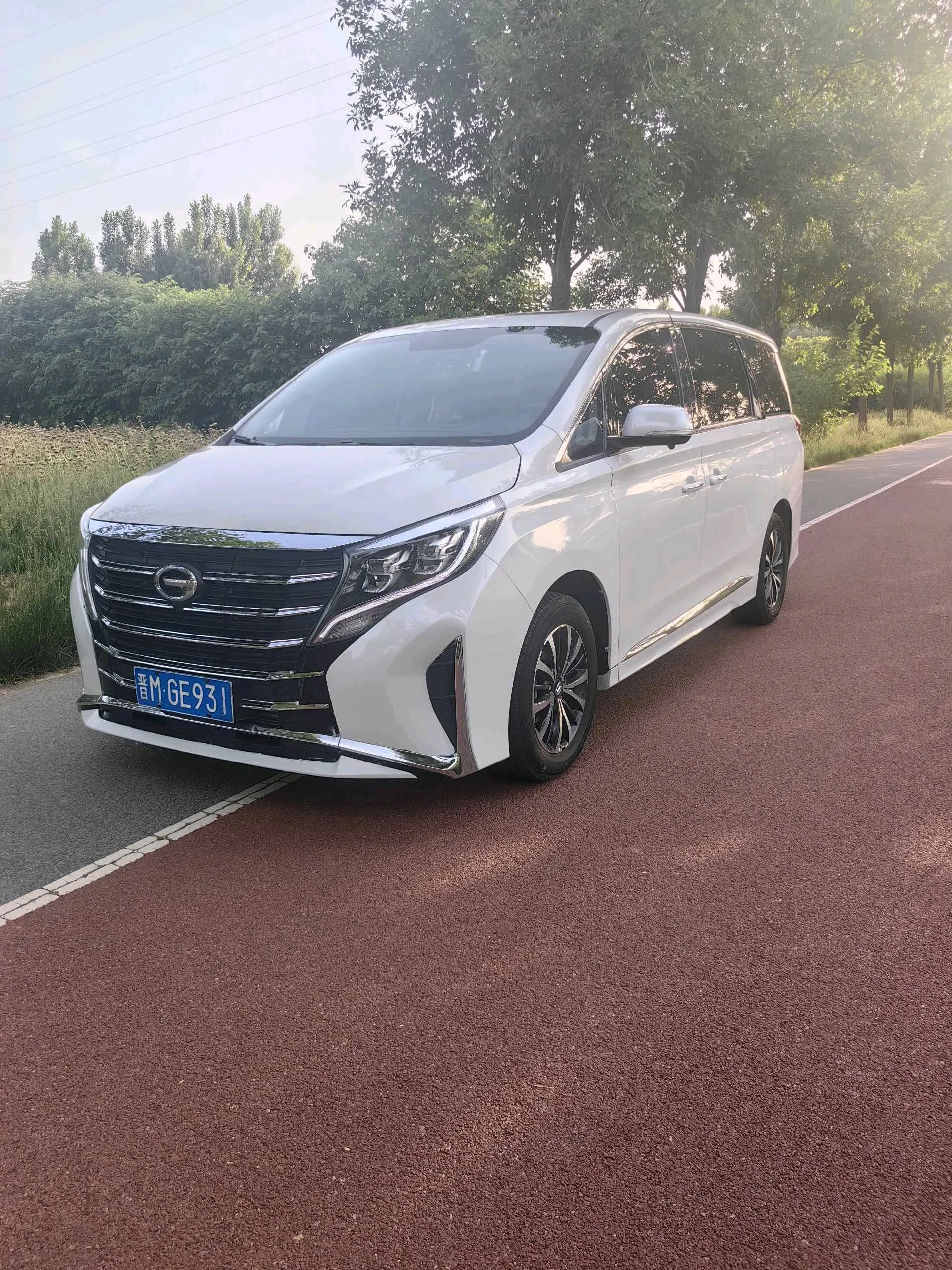 Trumpchi 2024 M8 2.0T 390T Leader Series Luxury Edition Automatic