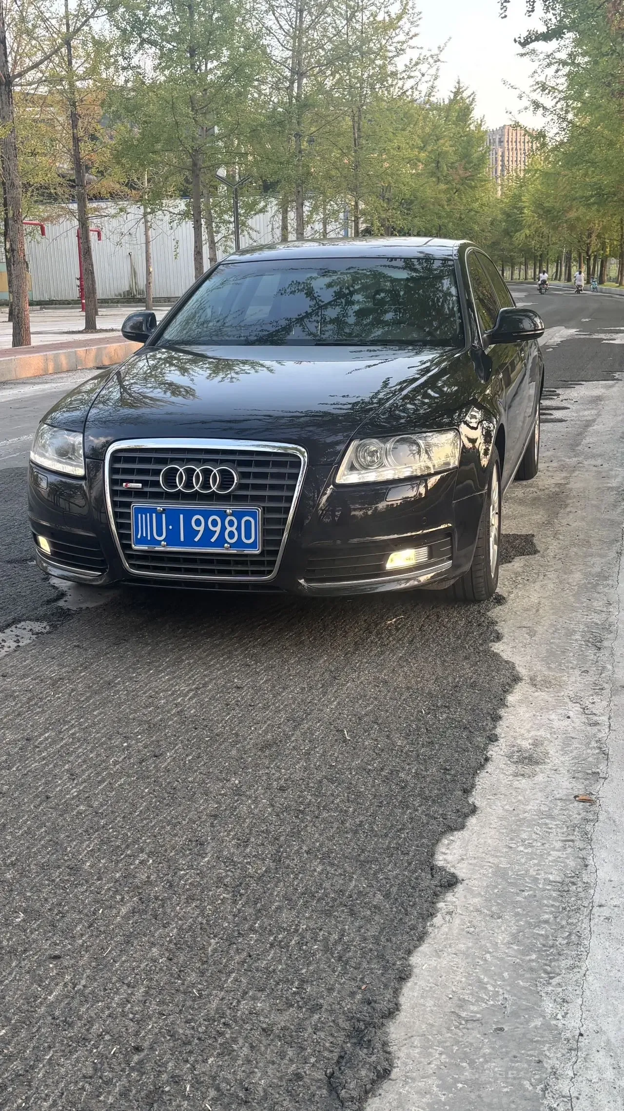 2010 Audi A6L 2.8 FSI quattro Luxury Edition